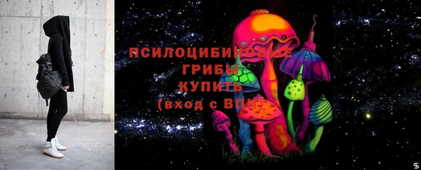 меф Гусь-Хрустальный